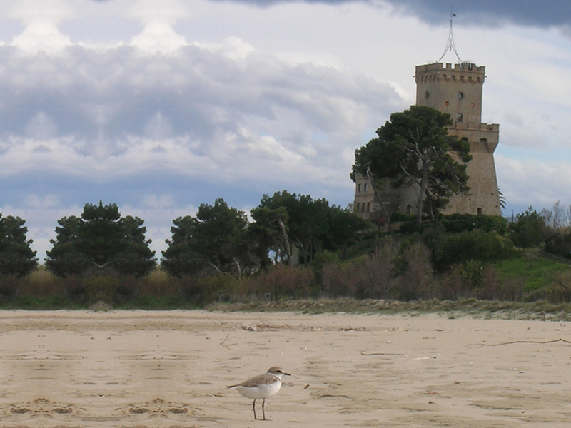 Torre di Cerrano - Vista mare